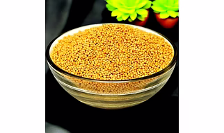 Yellow Mustard Seeds