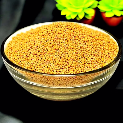 yellow mustard seeds