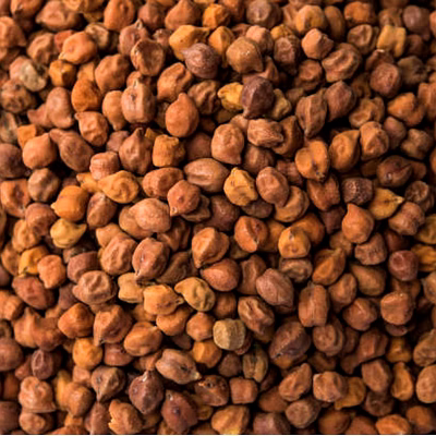 bengal gram