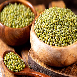 vigna mungo