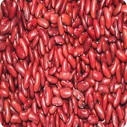 red kidney beans