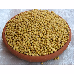 soyabean