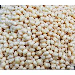 urad gota