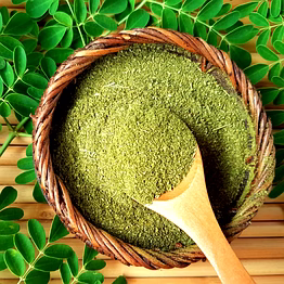 moringa powder