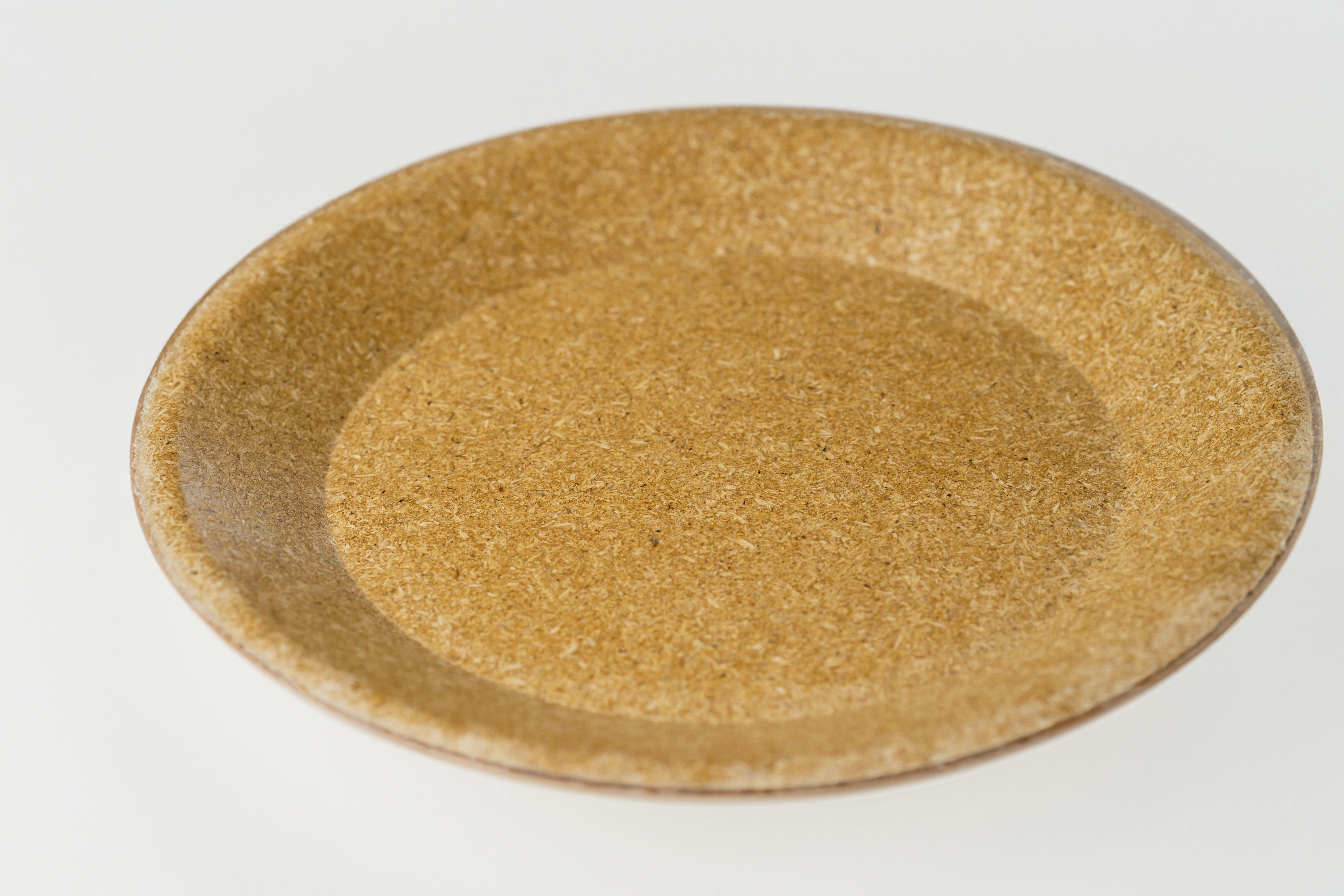 Biodegradable plate-12475587