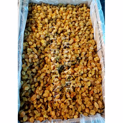 Premium Golden Raisins-4