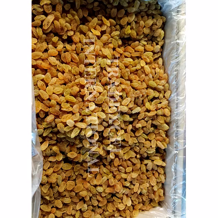 Premium Golden Raisins-3