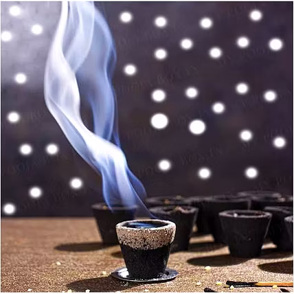 SAMBRANI HAVAN CUP-3