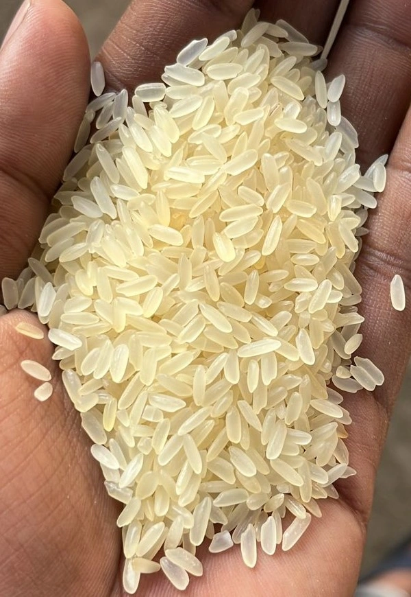 SONA MASOORI RICE-967905-87e8849e