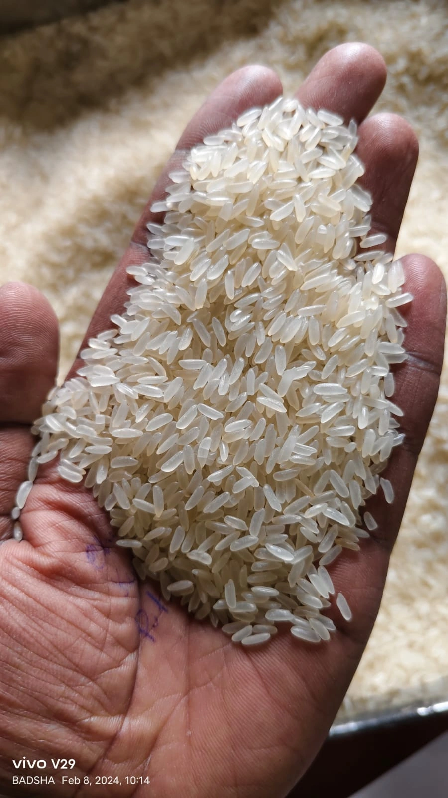 IR-64 RICE-967905-deb7d0f8