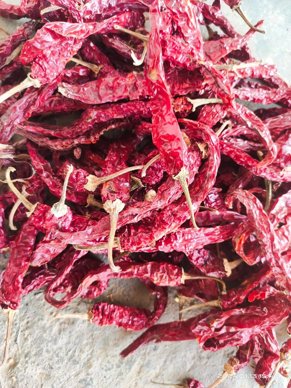 Dry Red Chili Teja-2