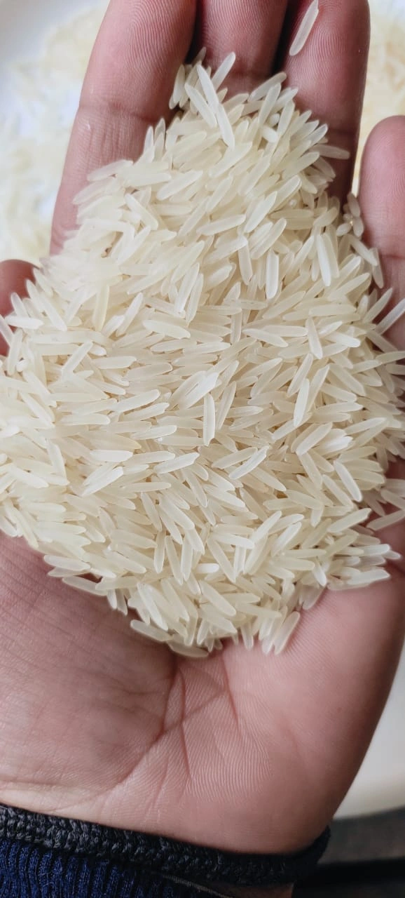 1121 White Sella Basmati Rice-1