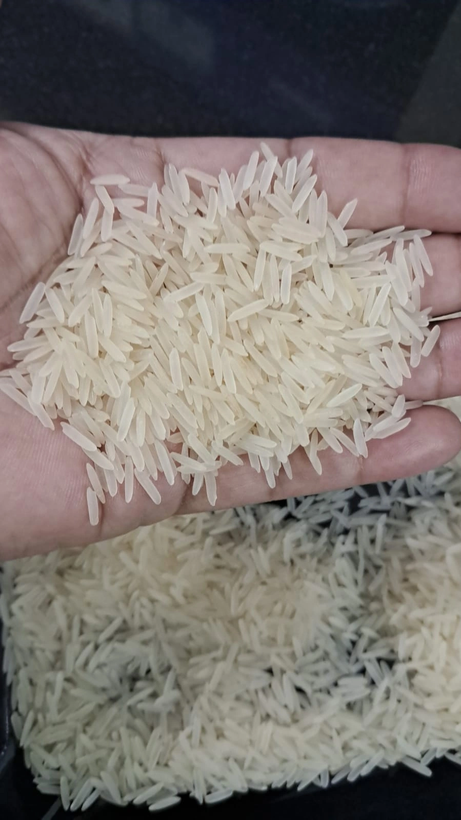 1121 White Sella Basmati Rice-2