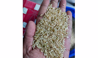 Brown Non Basmati Rice