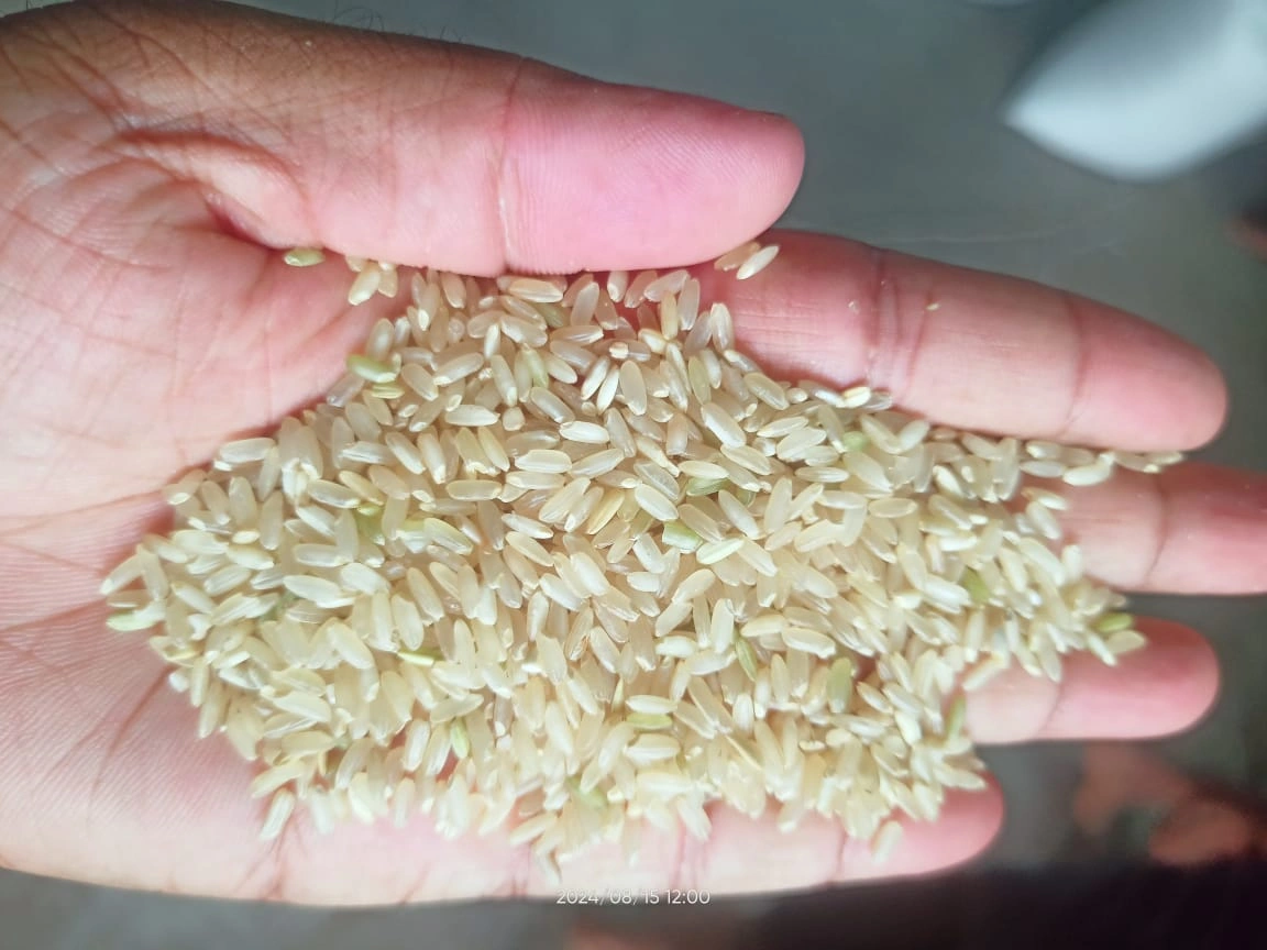 Brown Non Basmati Rice-3