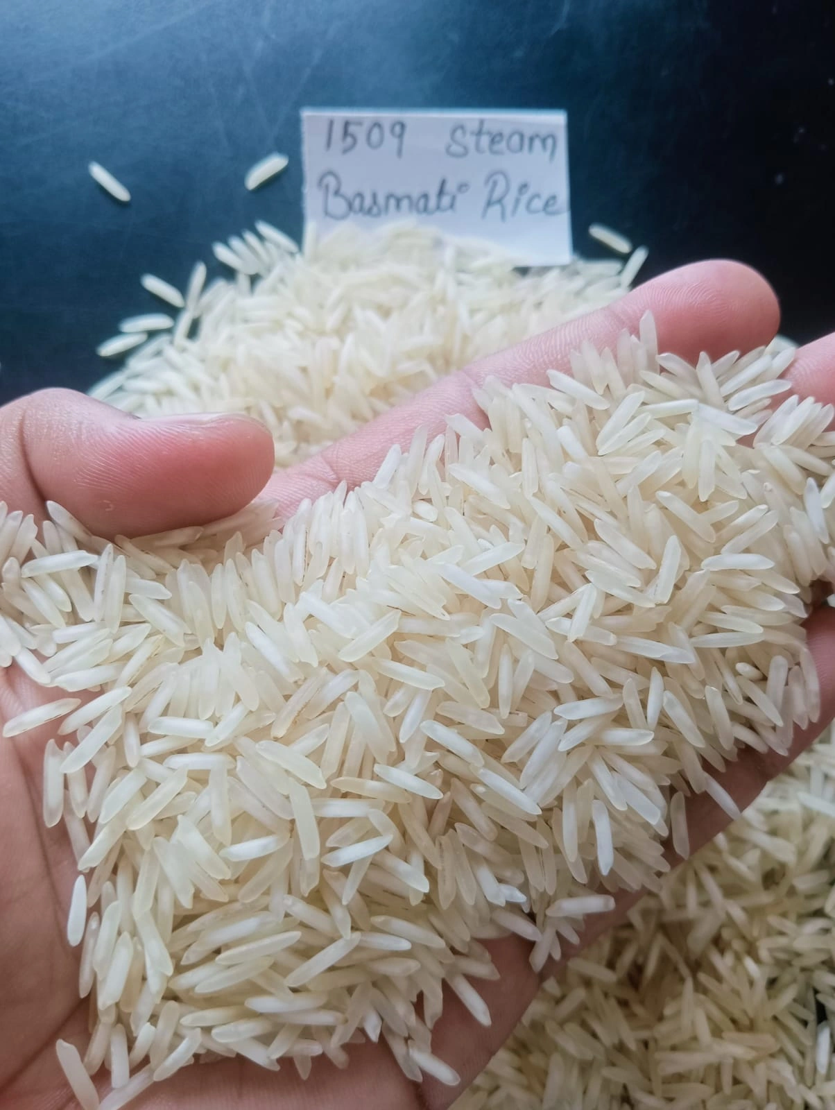 1509 Basmati Rice ( Steam )-967905-70cfc507