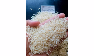 1509 Basmati Rice ( Steam )