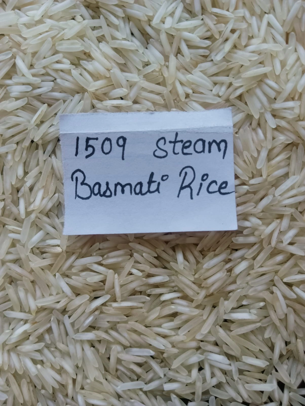 1509 Basmati Rice ( Steam )-3