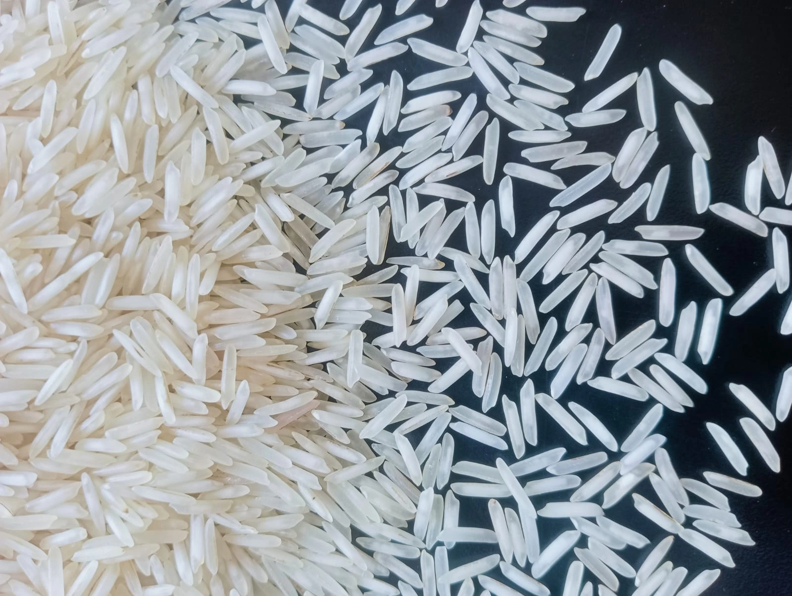 1509 Basmati Rice ( Steam )-4