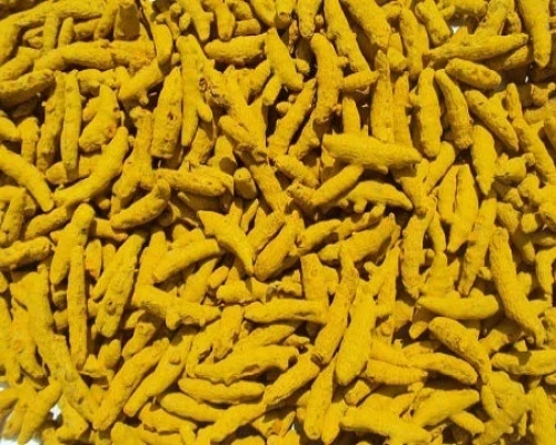 Erode Turmeric 3% Curcumin-12485296