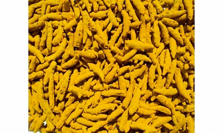 Erode Turmeric 3% Curcumin