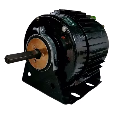 High Speed 0.5HP 2800 RPM Double Shaft Electric Motor | Match Motors-2