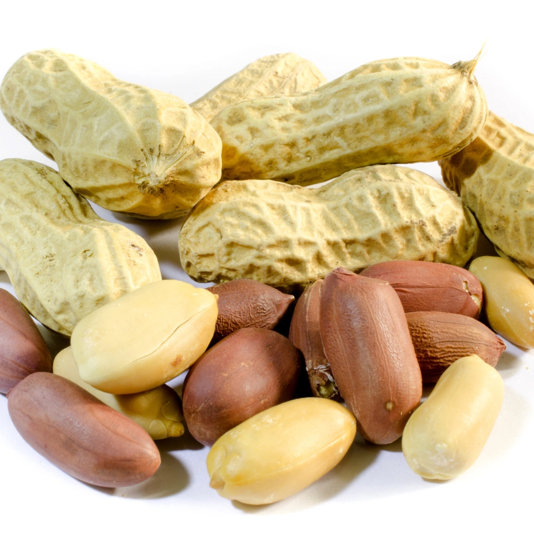 Groundnuts-Ma1002