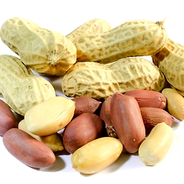 Groundnuts