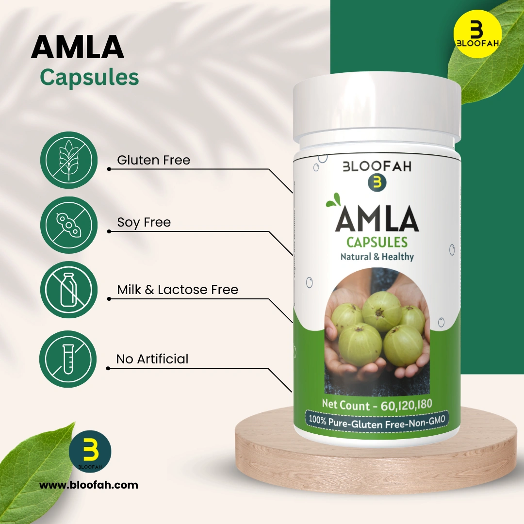 Amla Capsules 500mg - 120 Count | 100% Natural &amp; Pure Amla Powder (Phyllanthus emblica) Herbal Supplement-2