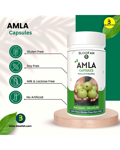 Amla Capsules 500mg - 120 Count | 100% Natural &amp; Pure Amla Powder (Phyllanthus emblica) Herbal Supplement-2