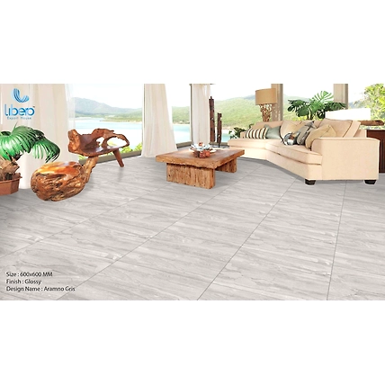 Polished Porcelain Tiles 60x60cm-1
