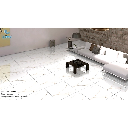 Polished Porcelain Tiles 60x60cm-3