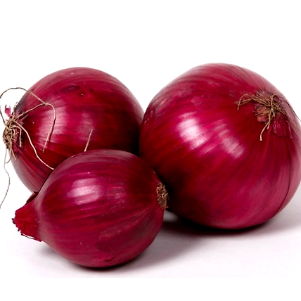 Onion Super-12479863