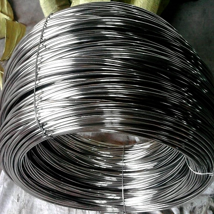 SS lock wire-12490874