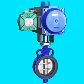 Butterfly Valve