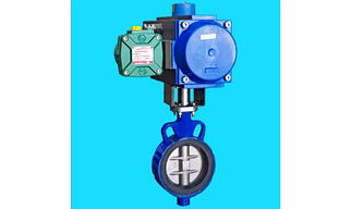 Butterfly Valve