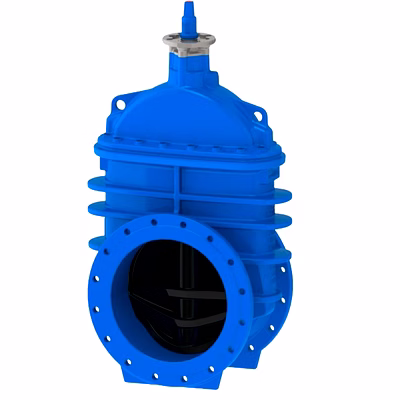 any gate valve