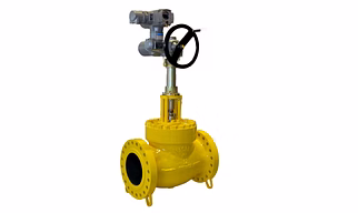 Globe Valve