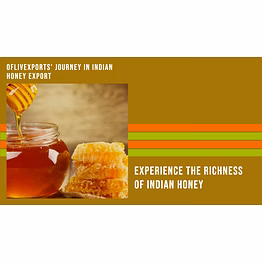 ofliv wildforest honey