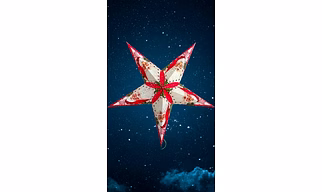 Multicolour Christmas Star_610_1