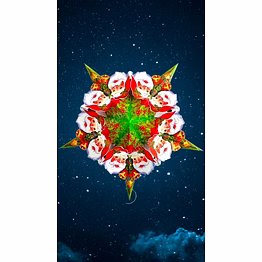 multicolour attachment on multicolour christmas star_336ch