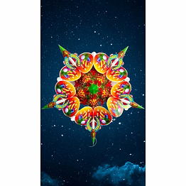 multicolour attachment on multicolour christmas star_337ch