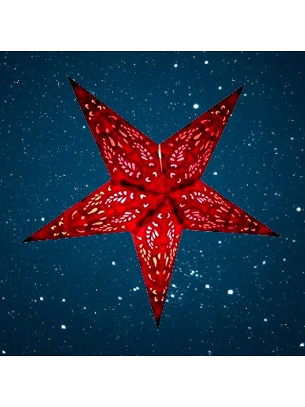 Christmas Star in Nebula Red
 2024-R