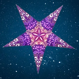 christmas star in purple rain 299-b