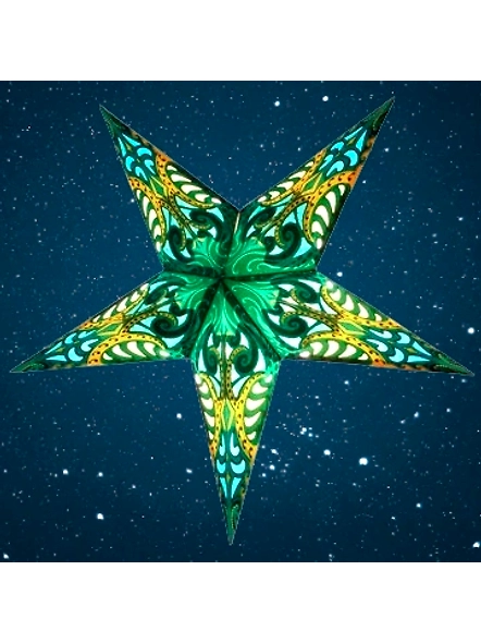 Christmas Star in Green Splash
2014-G