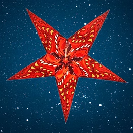 christmas star in swimming bird - red 2018-r