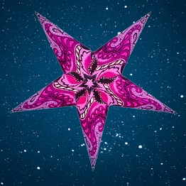 christmas star in swimming bird - green 2018-pl