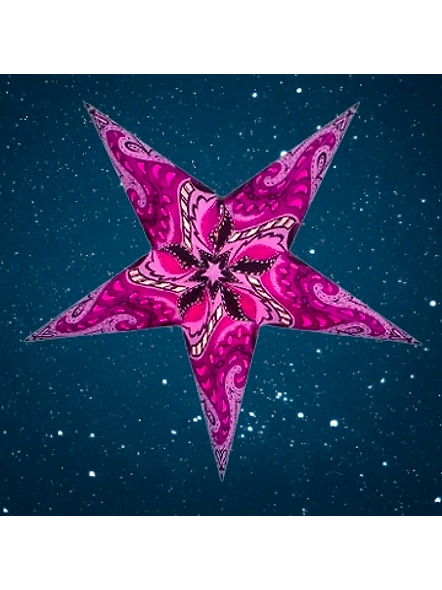 Christmas Star in Swimming Bird - Green 2018-PL