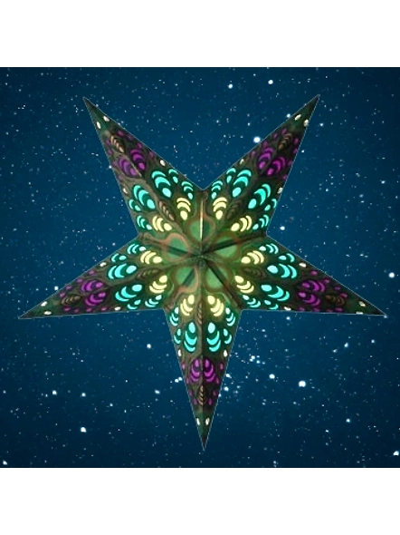 Christmas Star Golden Peacock 297