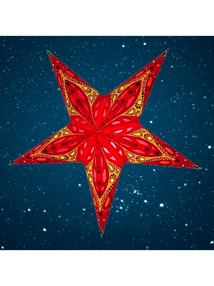 Christmas Star Exotic Dahlia - Red 296-R